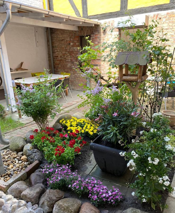 Ferienwohnung Bress Eg Ueckermünde エクステリア 写真